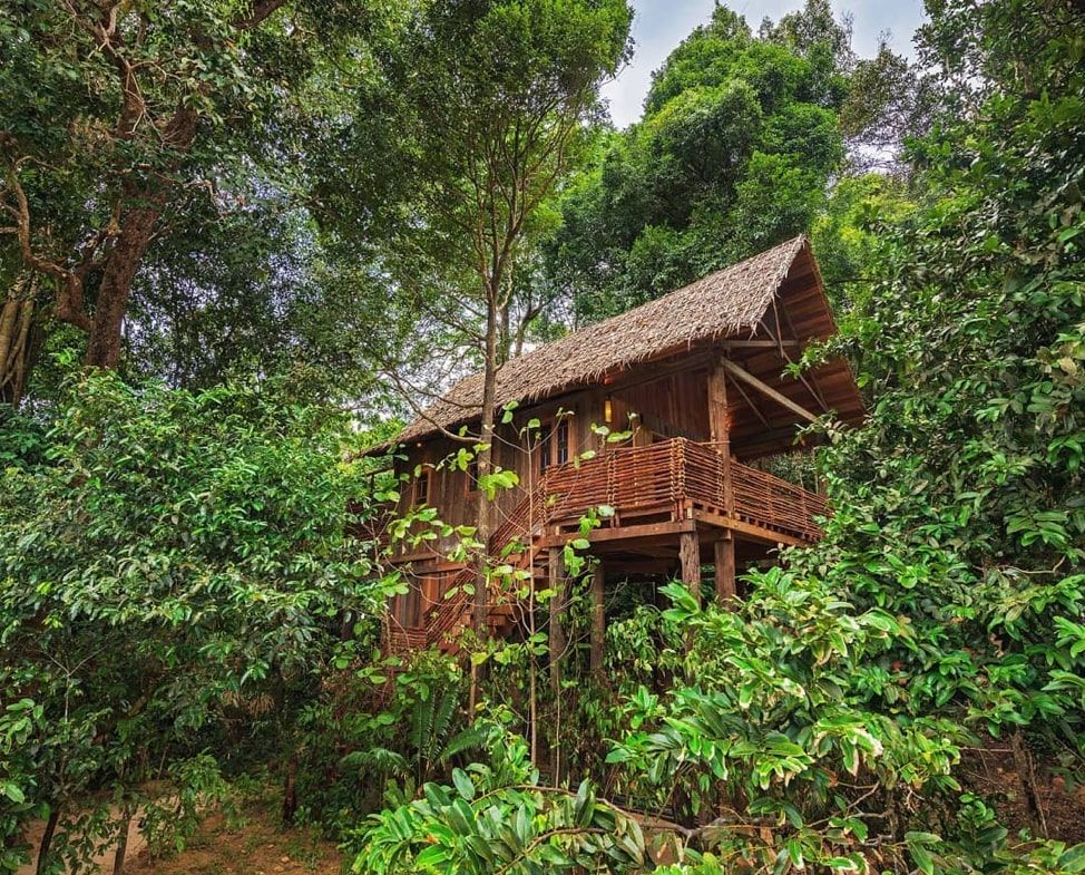 Treehouse villas are just one of the many styles of stay on Wa Ale Island Resort