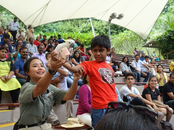 Animal show at Jurong Bird Park, Singapore. Image courtesy of Mike Aquino.