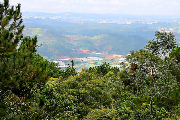 Lang Biang scenery, Vietnam