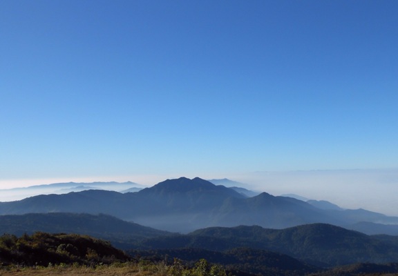 Mist-enshrouded Doi Inthanon