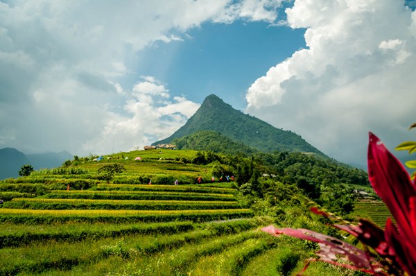 Mount Fansipan from a distance