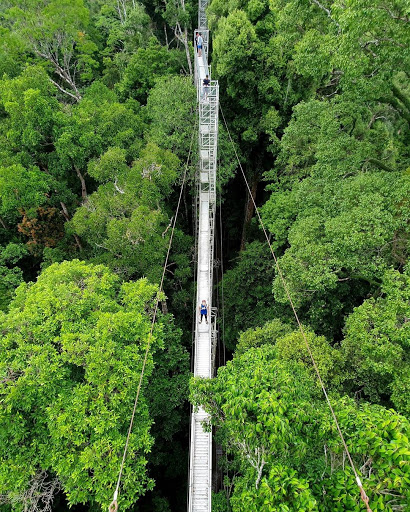 Feel your adrenaline pumping as you move across Ulu Temburong National Park’s stunning canopy walk.