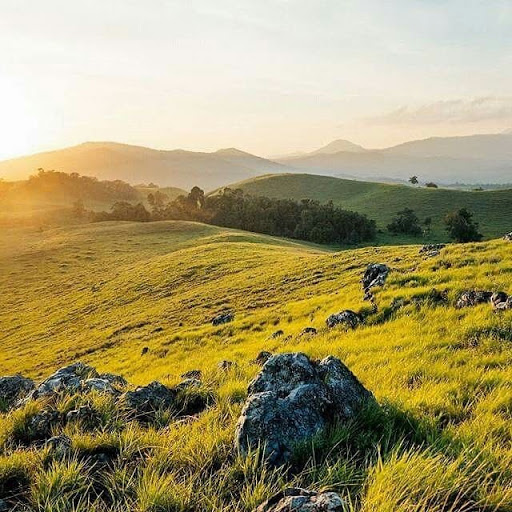 Virachey National Park is a stunning expanse stretching over 1200 square miles in the northeast of Cambodia.