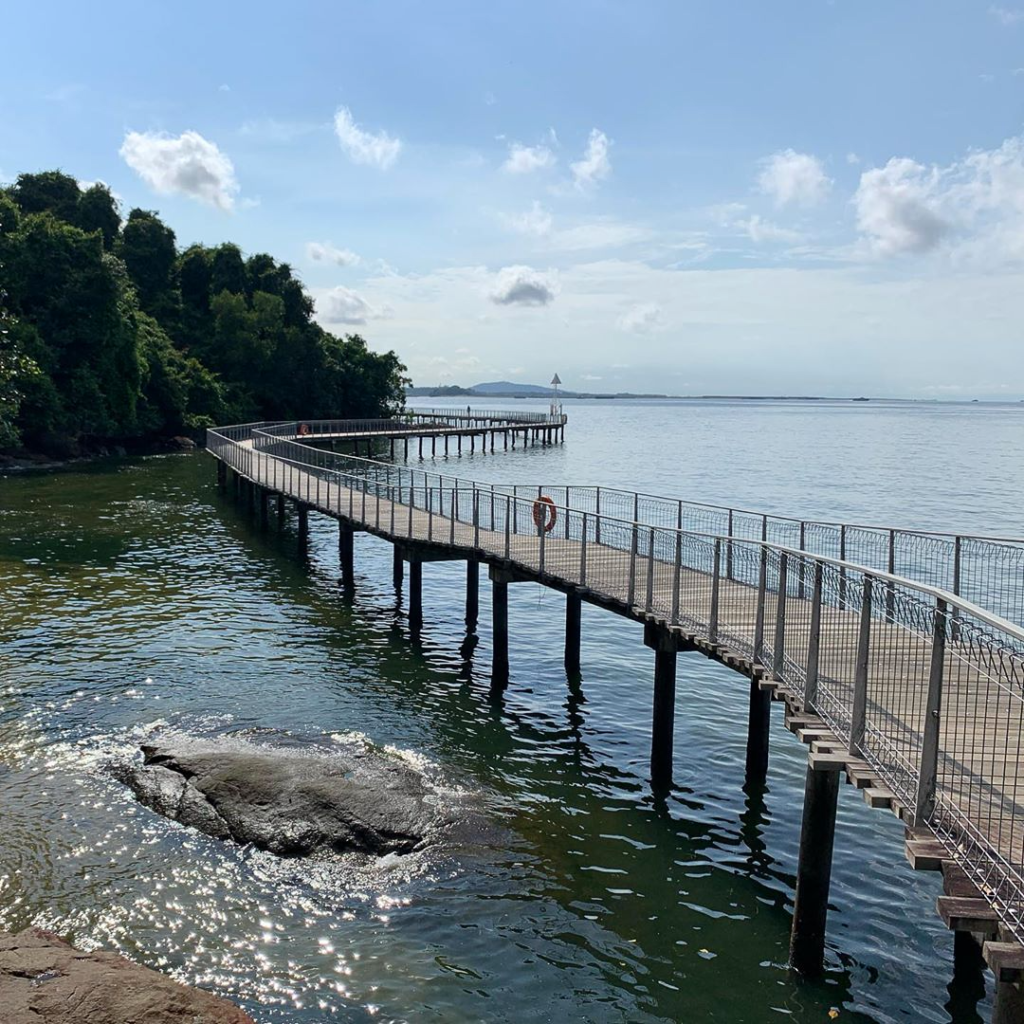 Chek Jawa is the intersection of six distinct habitats in Singapore.