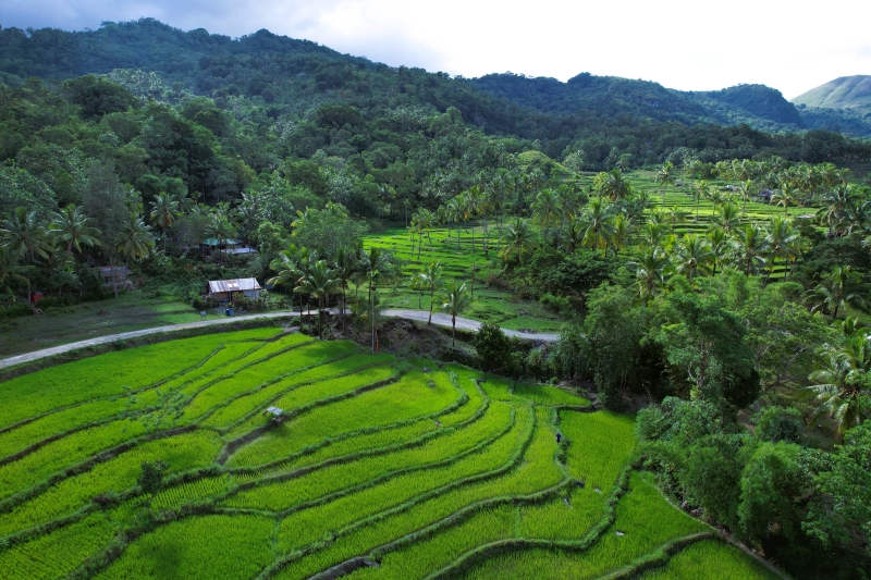 Village and Agro-Tourism