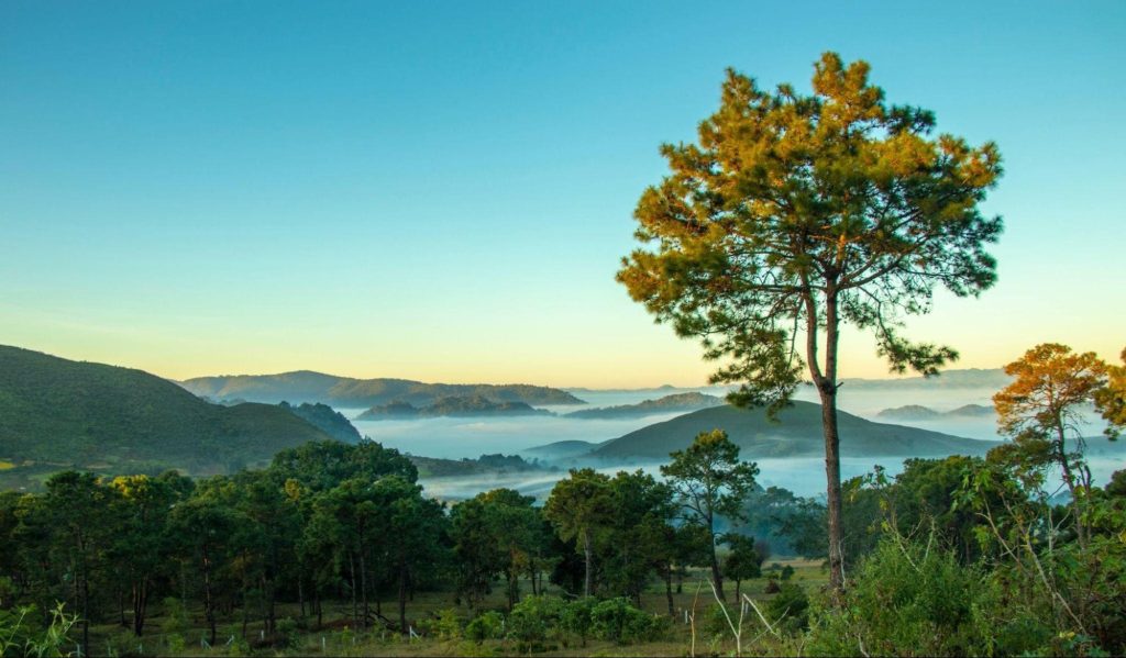 Kalaw