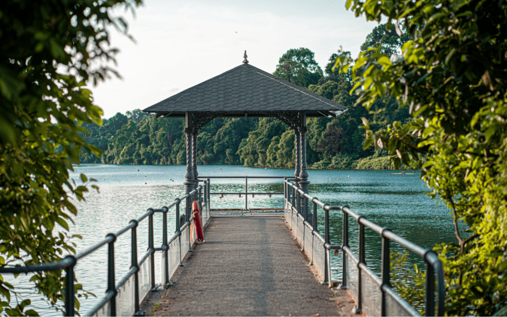 Pier at MacRitchie Reservoir | Visit Southeast Asia