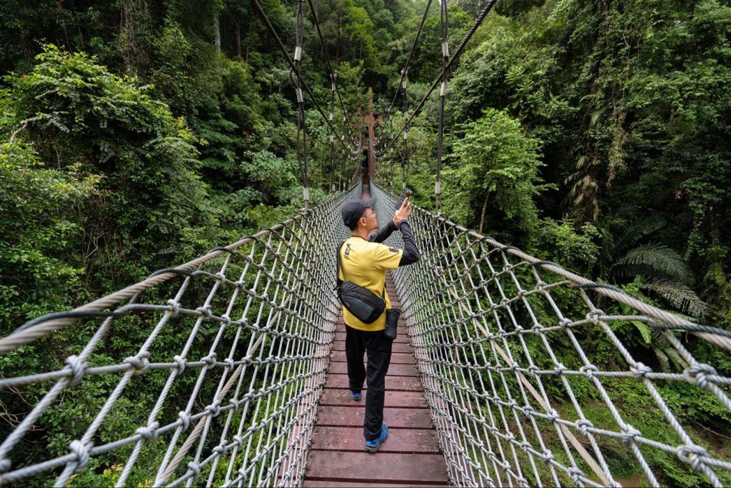 Canopy Walk in Ulu Temburong Park | Brunei Tourism