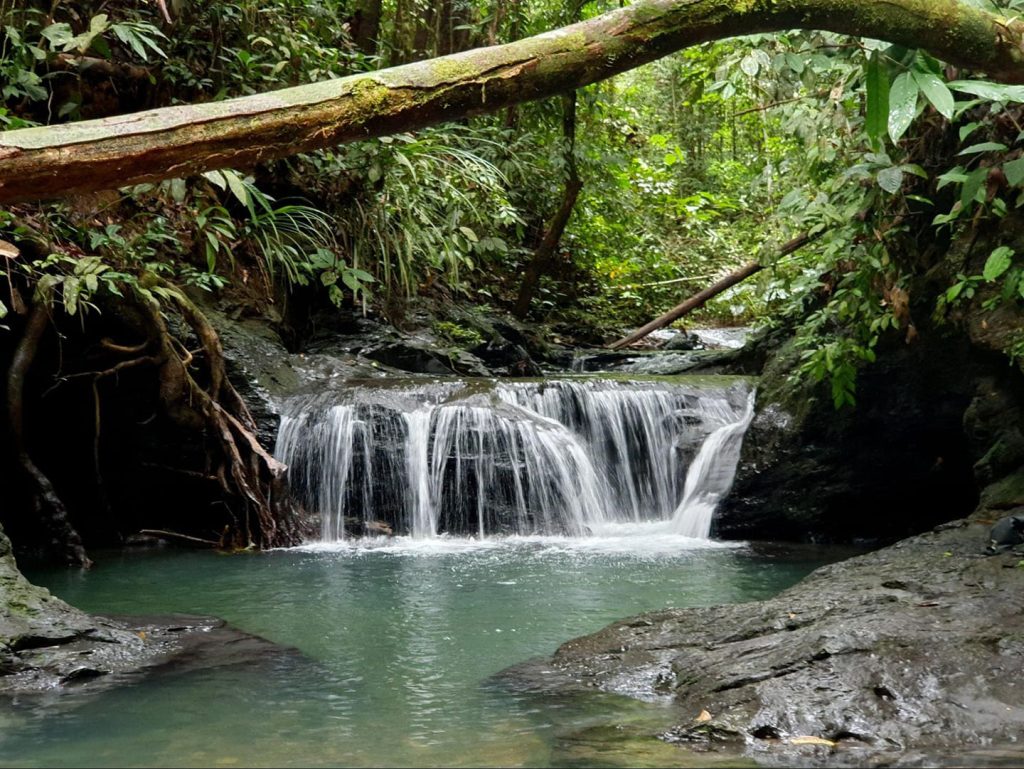 Wasai Ulu Mutong | Brunei Tourism